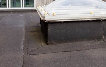 disadvantages of Robins flat roofs