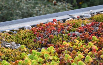 the cost of Robins green roof installation