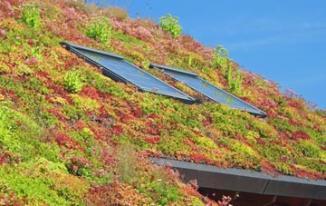 Robins living roof systems