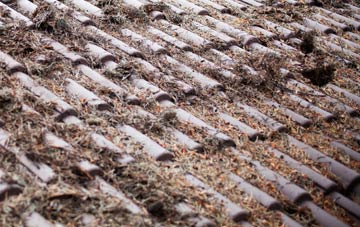 Robins roof cleaning companies