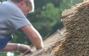 professional Robins thatchers