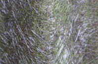 Robins fibreglass roof work